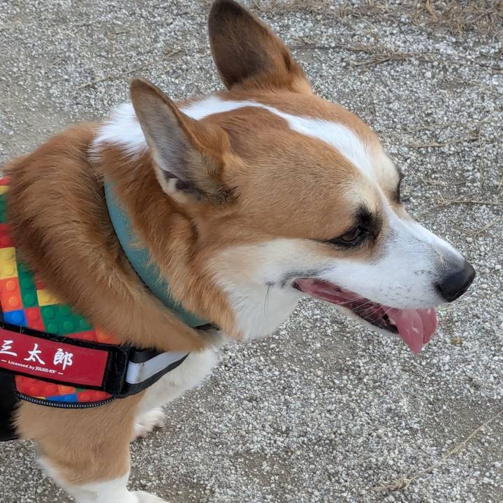 Ef21a3bd b3c1 471c 84f9 8d407dcbc31a 1734399821946