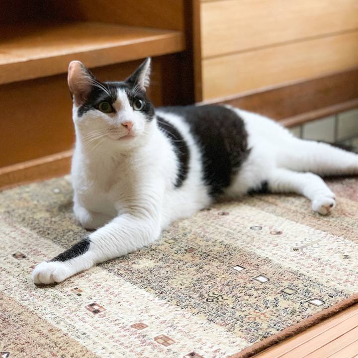 Ef21c96d 806d 401f 83d6 b3302e513998 1568339391615