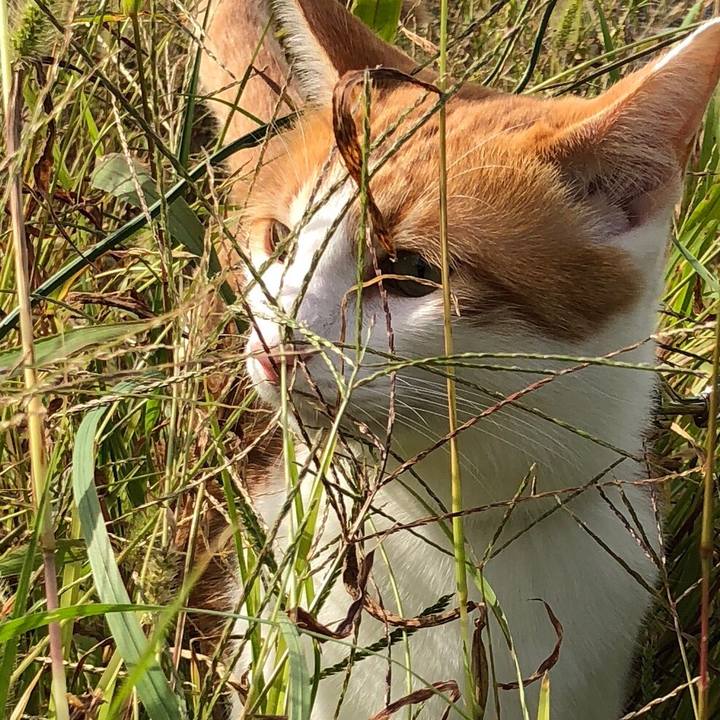 Ef21f6c5 d6ce 4698 9ce4 cb823cf46046 1539329242997