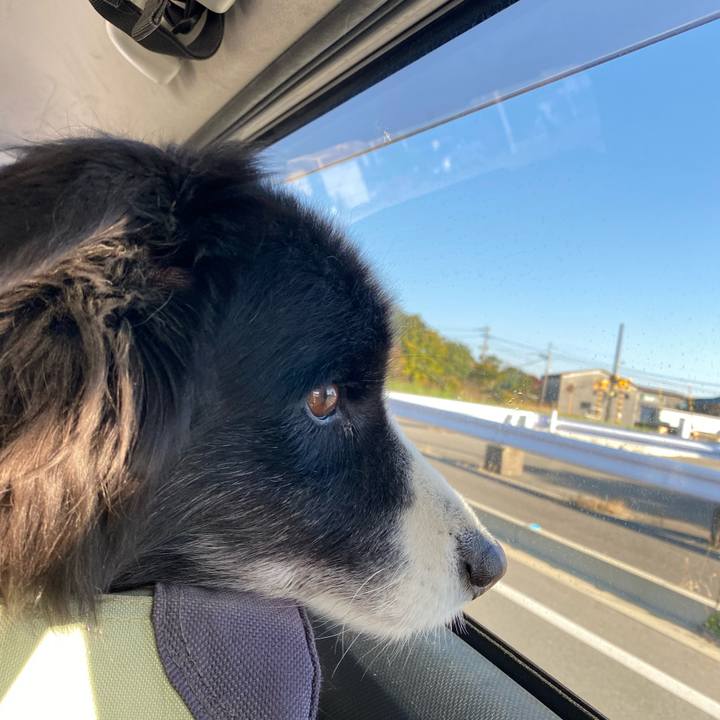 Ef221561 4a20 435d a472 65b004527103 1669593767451