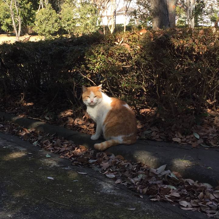 Ef221daa d66f 4bb5 bd72 74b0fd32820a 1548484848055