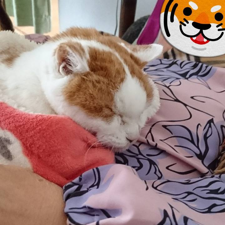 Ef222b99 6b15 4d32 a454 24fa1af502bd 1642901708594