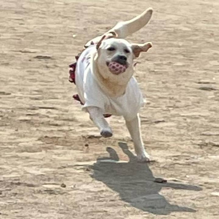 Ef222eb7 5e06 475d b199 017a0960a74b 1636017172297