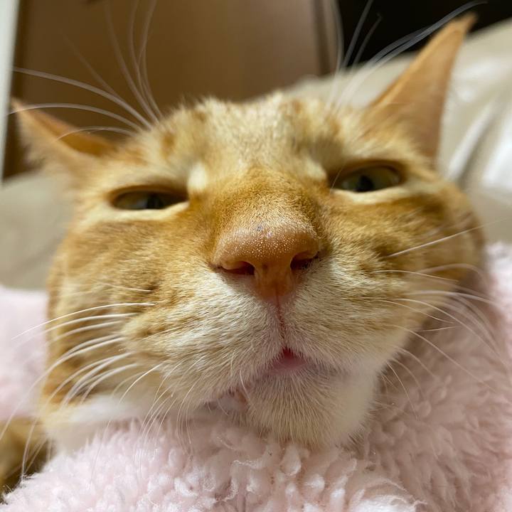 Ef2249a1 52b4 49aa 8004 7d0938b2b931 1586590201020