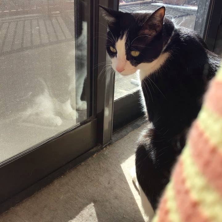 Ef2250a2 0f68 4d80 b603 b1c257e5cef0 1737866708092