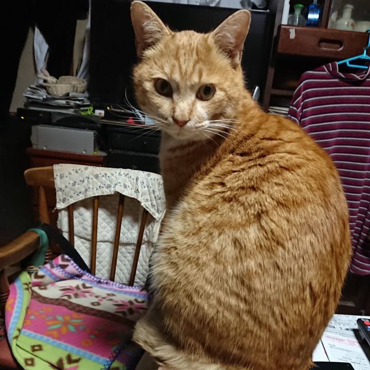 Ef225351 80c6 427e ac0d 755cbf20938c 1579121824110