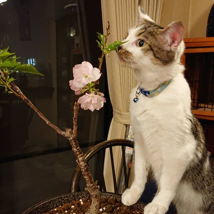 Ef2260e8 062b 4f79 b660 b243ed1c5d36 1554812529020