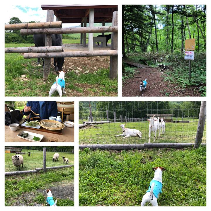 Ef2271d3 6bdb 44d7 bf32 169b01ff5479 1560769321110