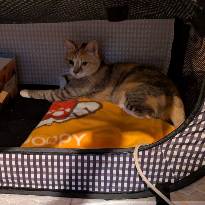 Ef227472 e3a8 4c6f aa01 ec2e86492cd3 1762362523997