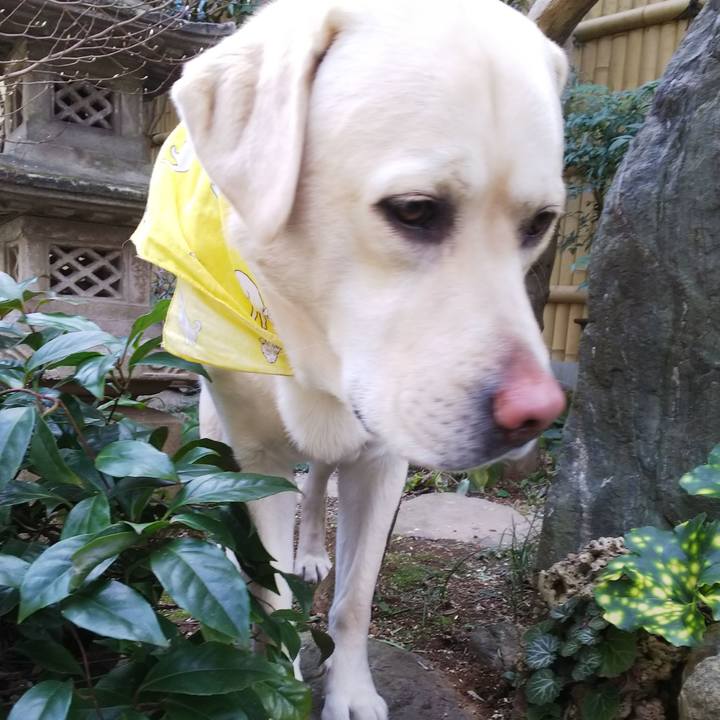 Ef22af65 f710 4c46 a1af 6b21a55c16eb 1580701993992