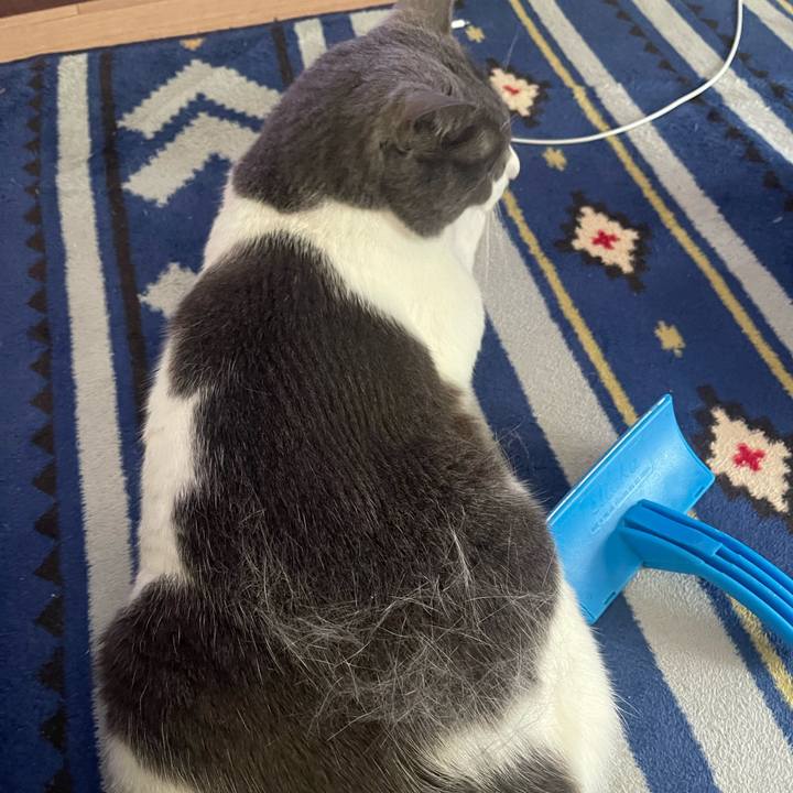 Ef22e567 6089 4614 90df 970fbe6ef5e2 1665284359972