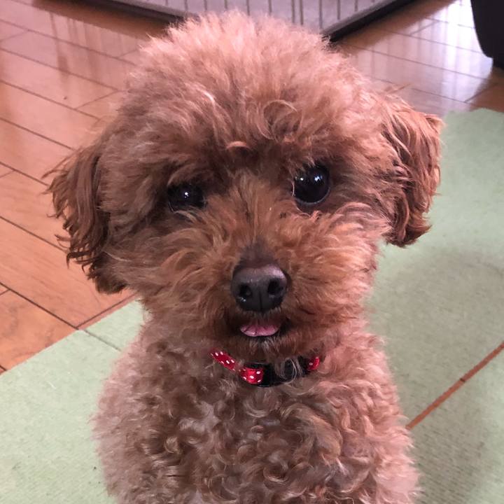 Ef22f55e 49ea 43ca 8001 e5abc6cc4cbb 1554937366311