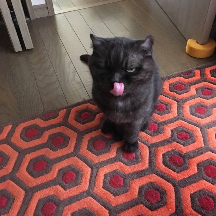 Ef230d36 3a6b 4923 8d5d b69f354481fa 1569453751404