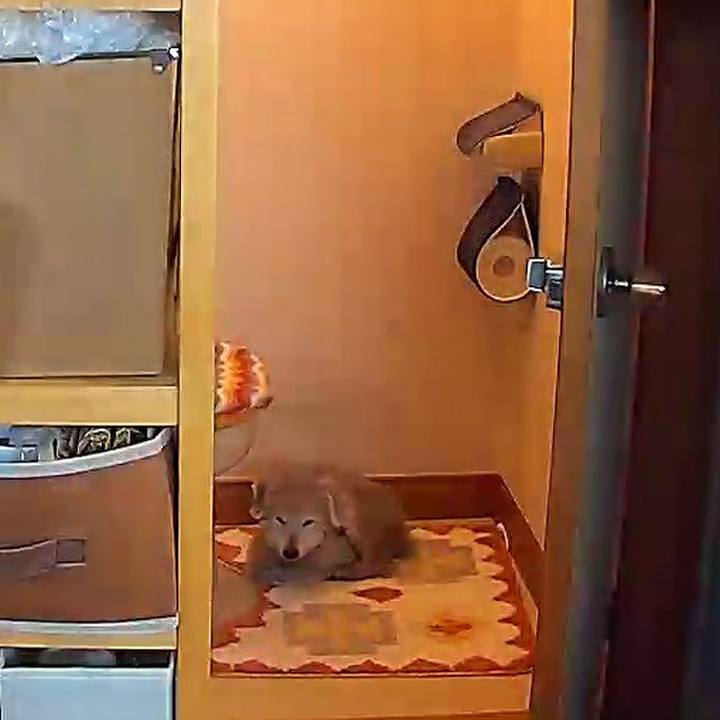 Ef2324e8 fab6 4c2a b600 ec63881b6185 1611292080999