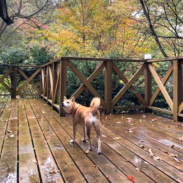 Ef233b66 2134 4db8 a8d2 9a0fda4b77c5 1667337759625