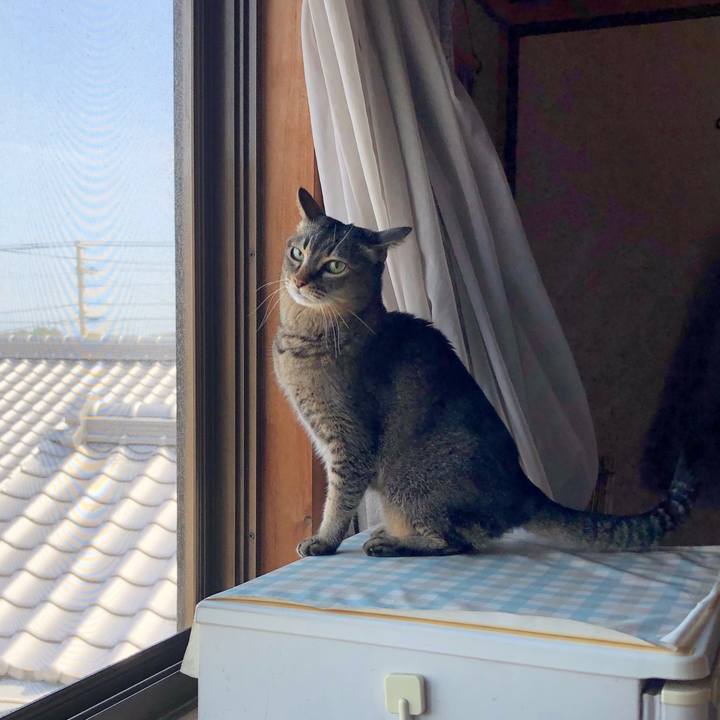 Ef238772 8d9f 477a bc55 db38cb36bd4e 1679620794888