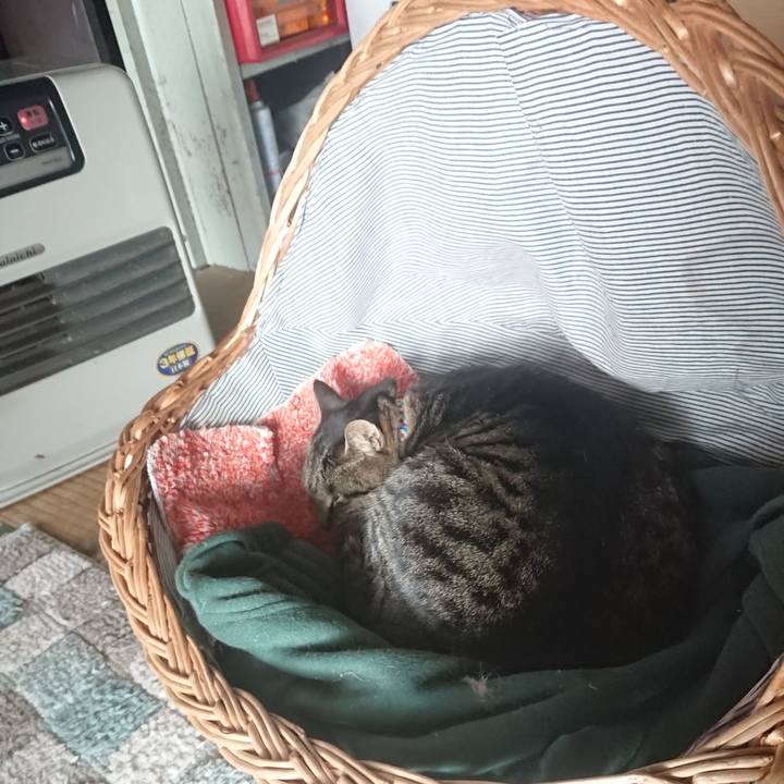 Ef2395df a4b6 40ad 881e 84371bad03f8 1642295007160