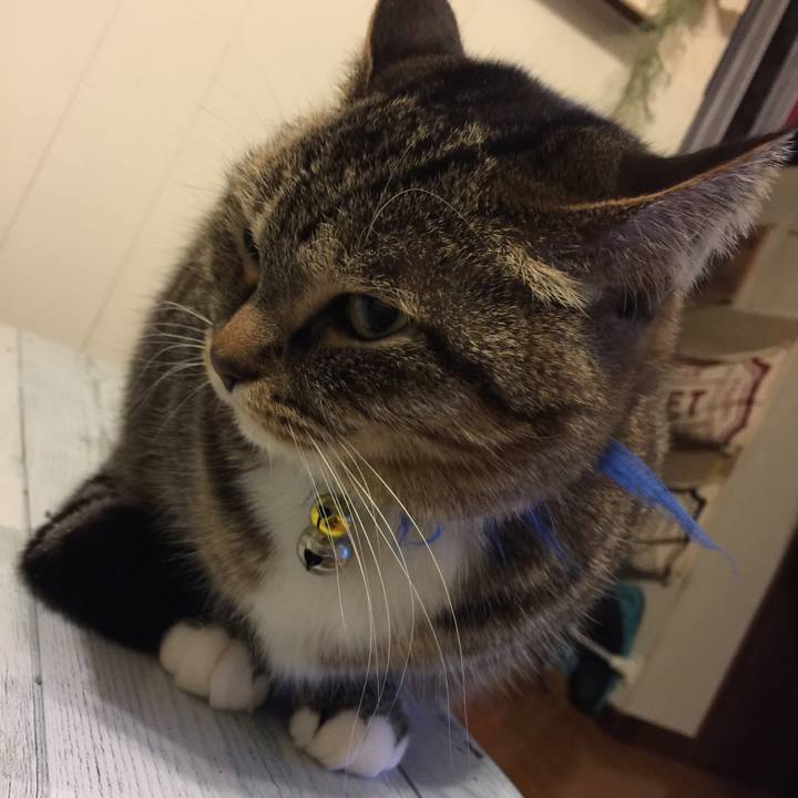 Ef23bf70 54bd 4a0e 8f63 630b5f73cef2 1554045024970