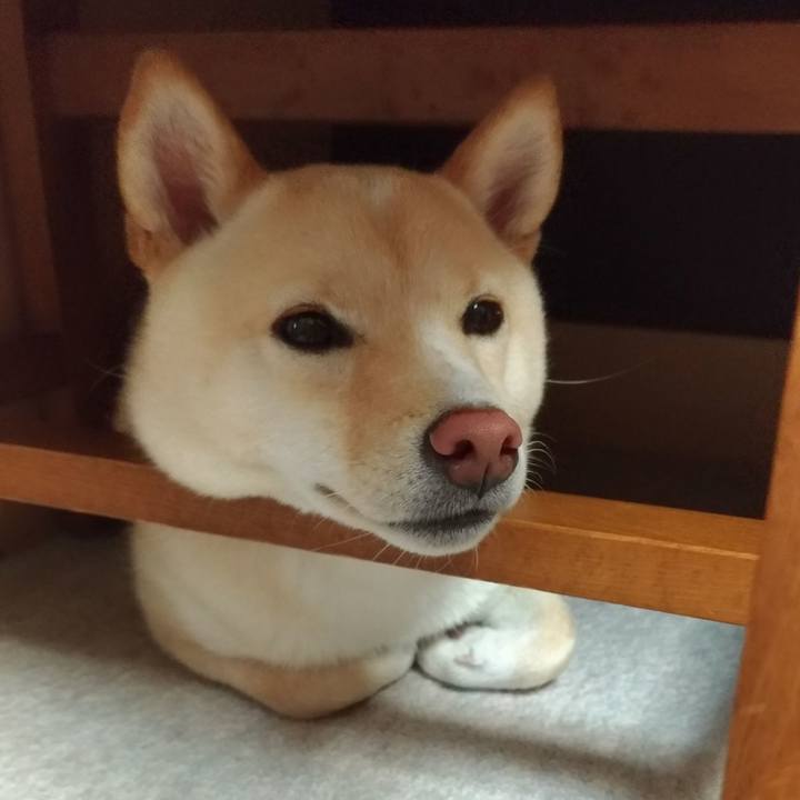 Ef23d444 4226 4671 976e 9f3da6b00959 1530056771199