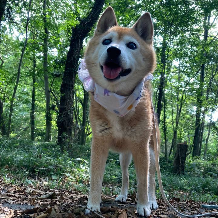 Ef23f1ef fdbe 4e63 be6e 9792f01a19d1 1758623841016