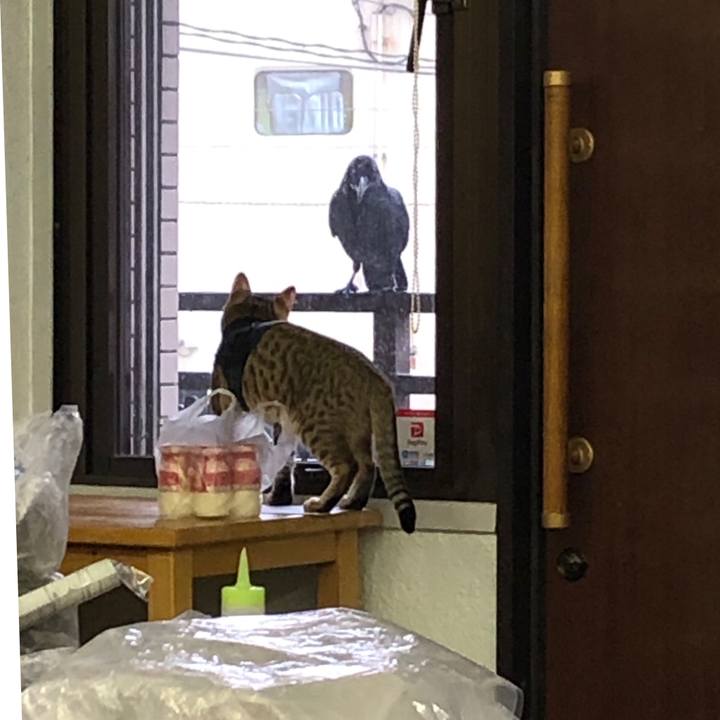 Ef24071d a703 4b39 a4f2 77f1679787d8 1583296716488