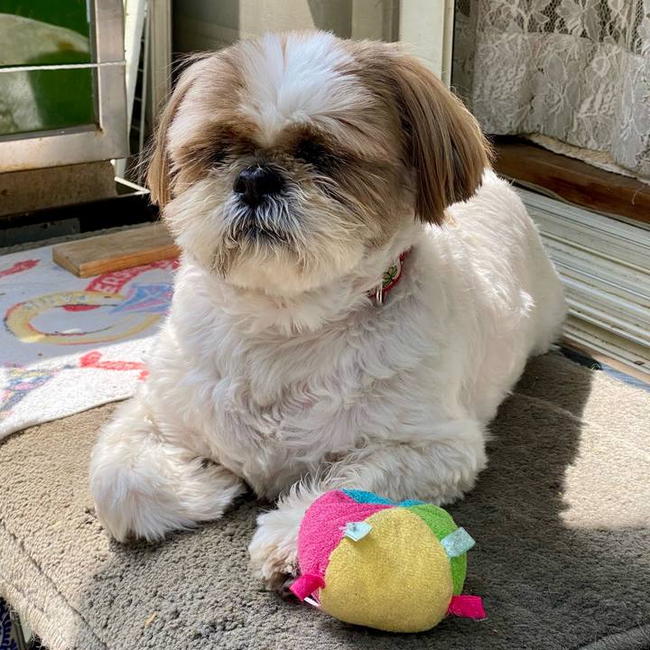 Ef240a35 a60c 46eb a7b3 0c4b204e39c9 1617254626660