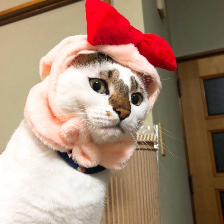 Ef2412c7 9cc1 420d 990c 39a8d9855087 1514802456302