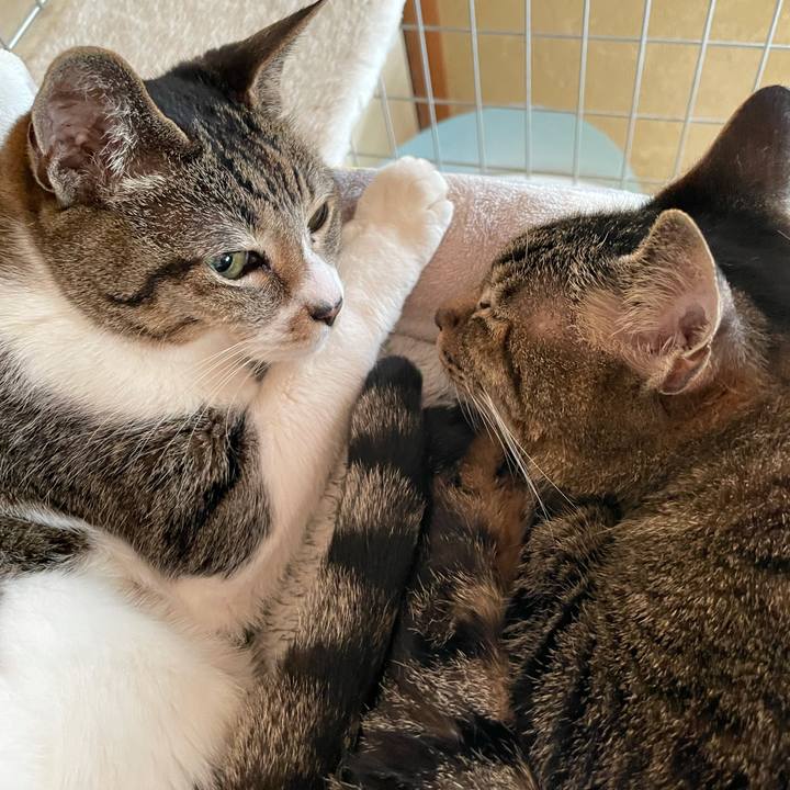 Ef2416d5 4678 4784 b936 6d10d13f5cbe 1626487385399