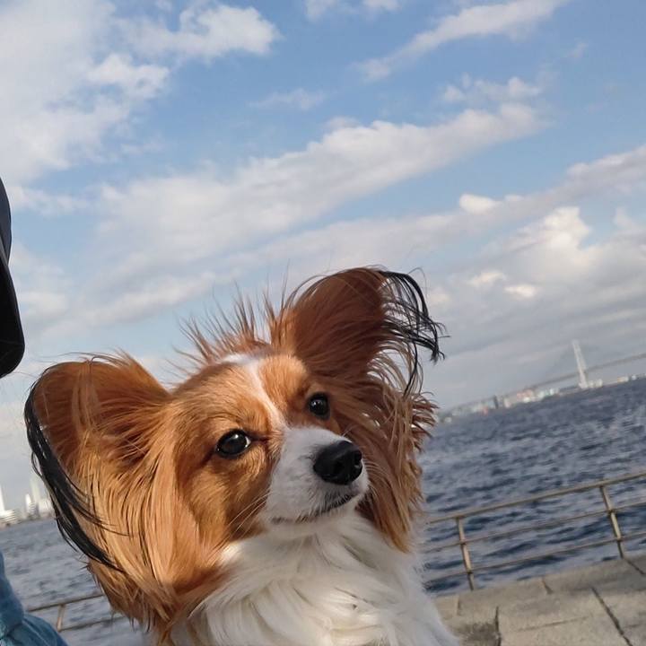 Ef241d79 b257 4c10 a6ef 0bb14e21f7d7 1667641321133