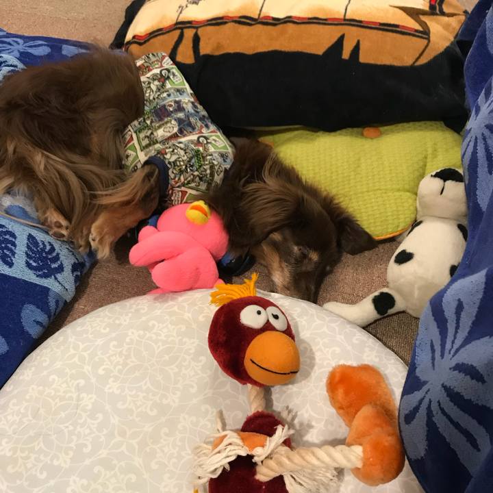 Ef242917 bc0d 4dec 86bd 619ab40050a6 1537324506738