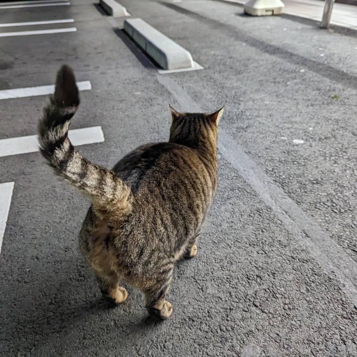 Ef243bae 6641 4c21 803c 8cc926b1f8a1 1673265455485