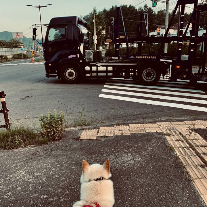 Ef247f37 42c0 4e43 907d 763bdaac37c6 1565041511449