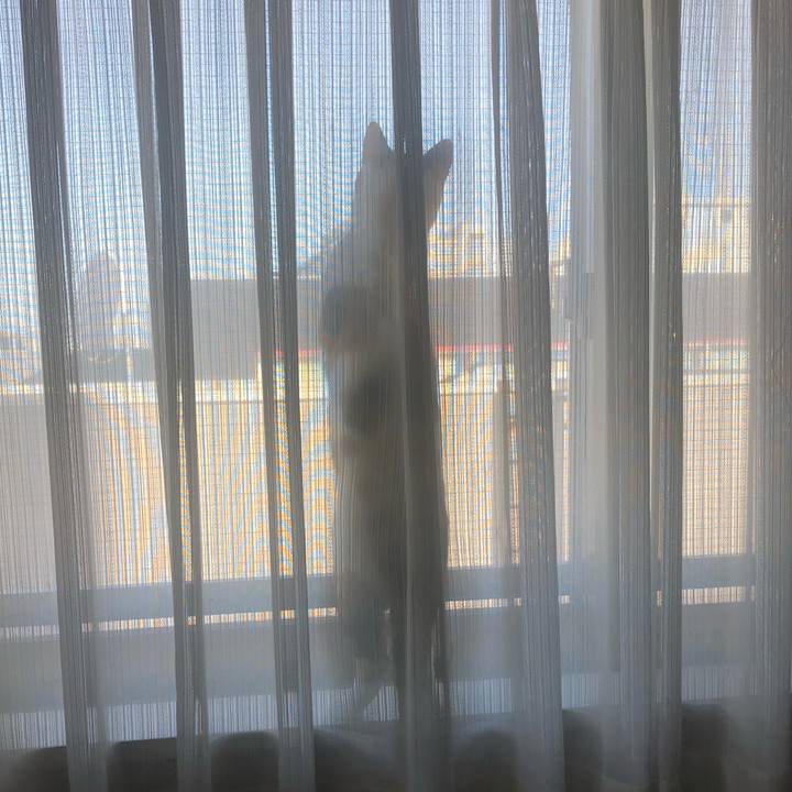 Ef24869e c798 49ff b446 2f1ce241d7ee 1599521741878