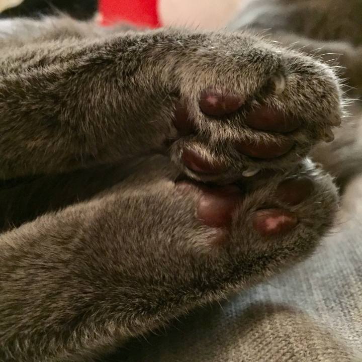 Ef24d253 7314 465c 96c8 871496fc77f2 1542206735092