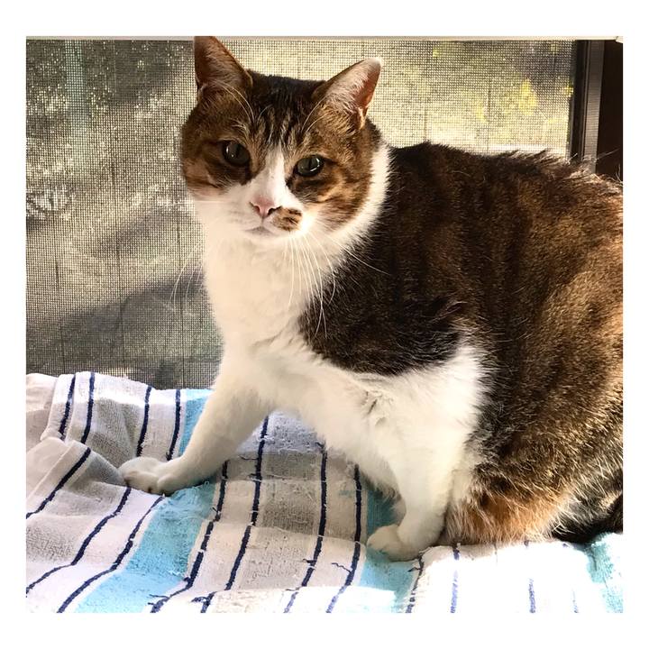 Ef24f49f 904b 4327 b075 65325d5a915b 1645079220451