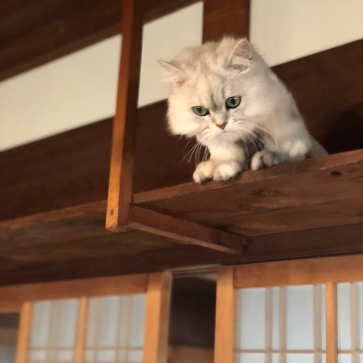 Ef250dec 2d31 45bd 8de3 c036f130ed21 1559044742370