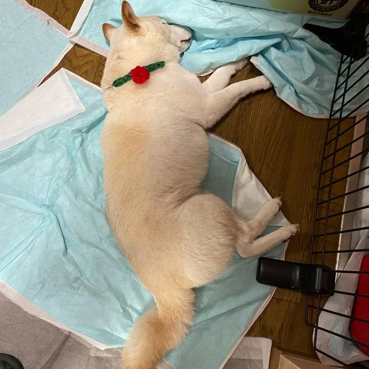 Ef259e92 f5e4 44e0 9822 f8df0316f174 1639566952190