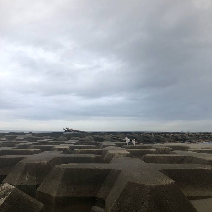 Ef25a82a 1885 4a35 8d94 e1cd0d5cd429 1543882794057