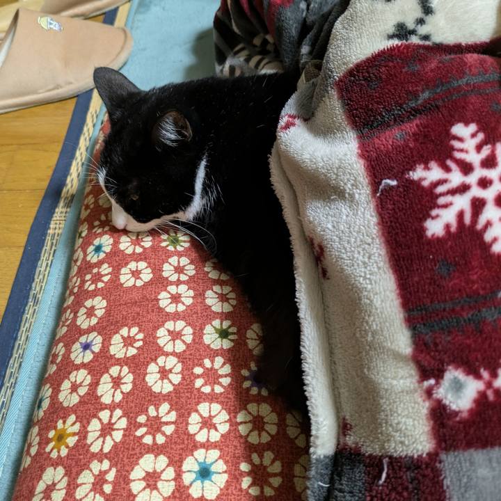 Ef25bd12 f617 4072 81d1 da949efbfc4b 1740456772542