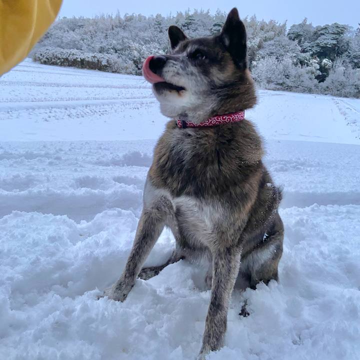 Ef25d052 8f60 4c3e 8cf9 dc6370db2099 1642544764066