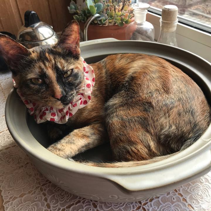 Ef25f494 c7dd 4aea 86f0 e7edfd1d421d 1617922568530