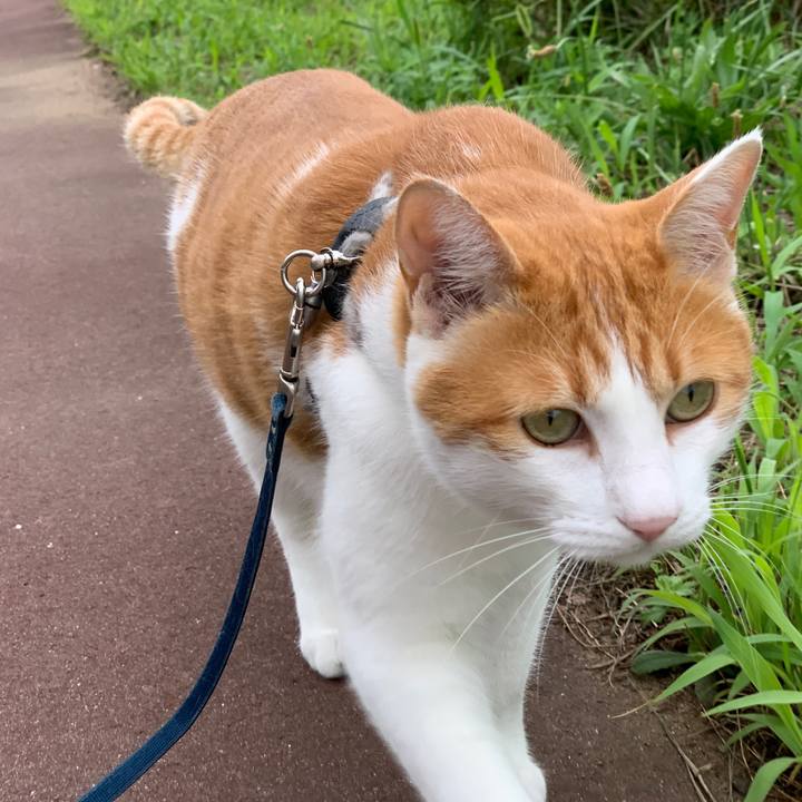 Ef25f675 693b 409b 8a99 0e0bd6ce0268 1628672603185