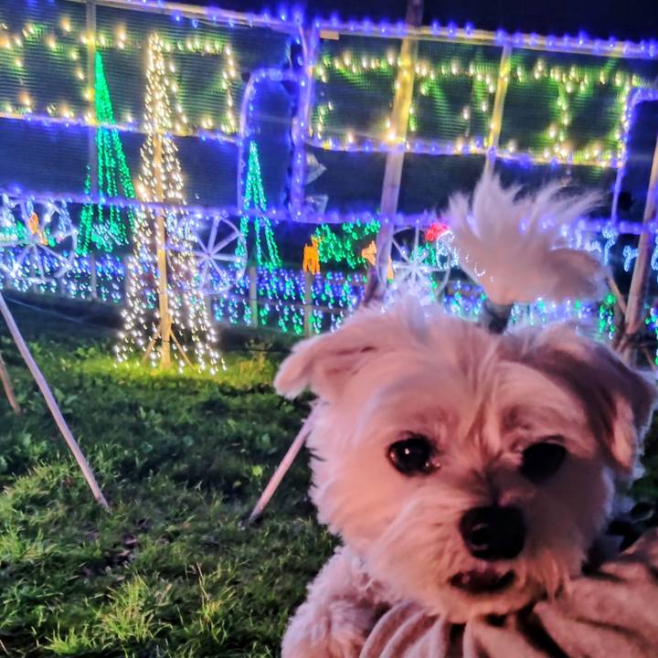 Ef26383e b59e 47be b801 74737404d53a 1764420434966