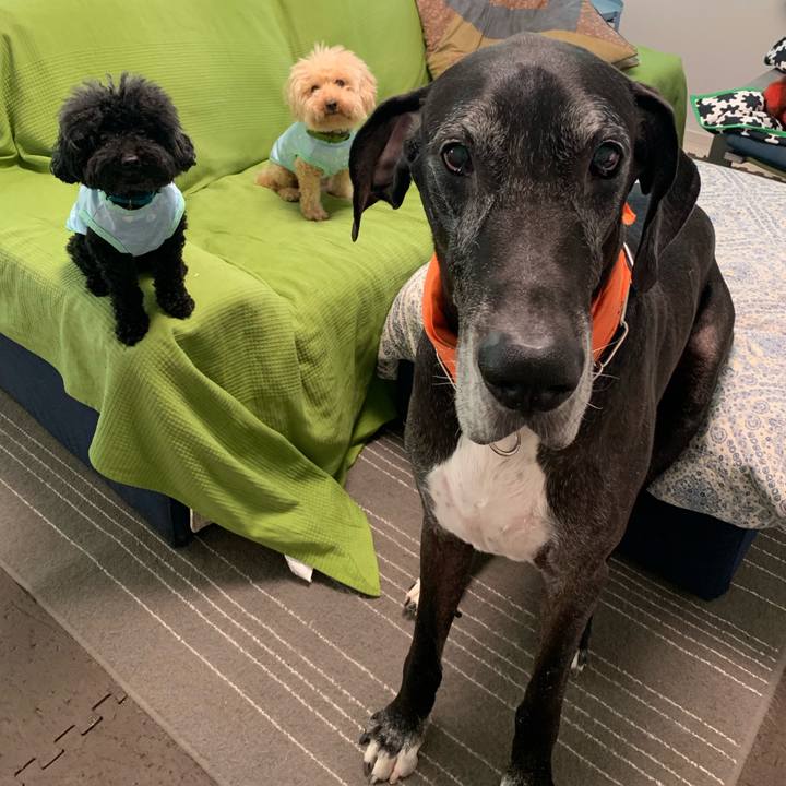 Ef264806 5460 4377 87b3 f248cedeaa74 1564698437363