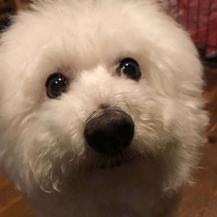 Ef265cdc e3dc 4273 9291 2f77feced41e 1589623814622