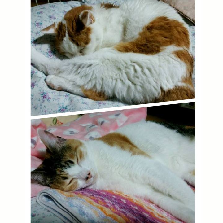 Ef26aee0 6c5b 44c9 874d f28745301532 1541672226951