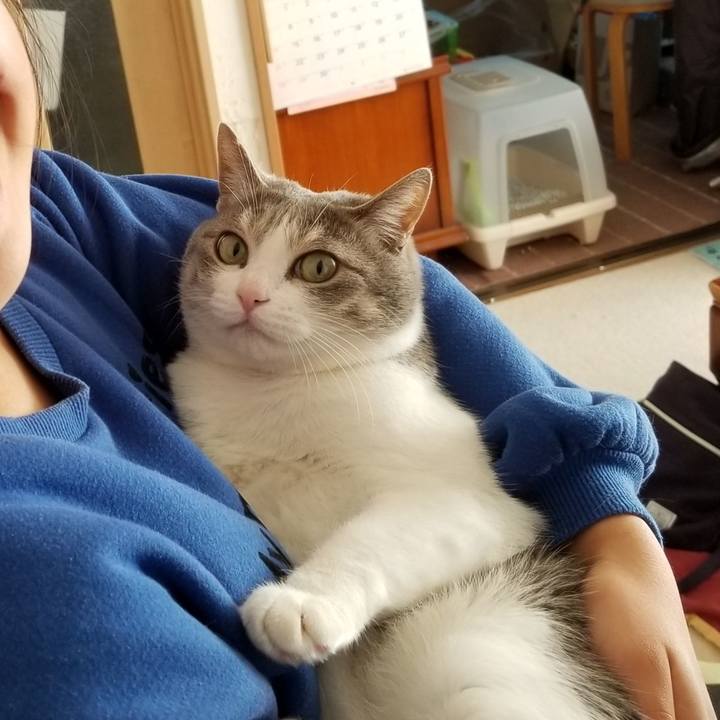 Ef26e070 afe2 4f07 b325 79c8eca4a9af 1554258939697