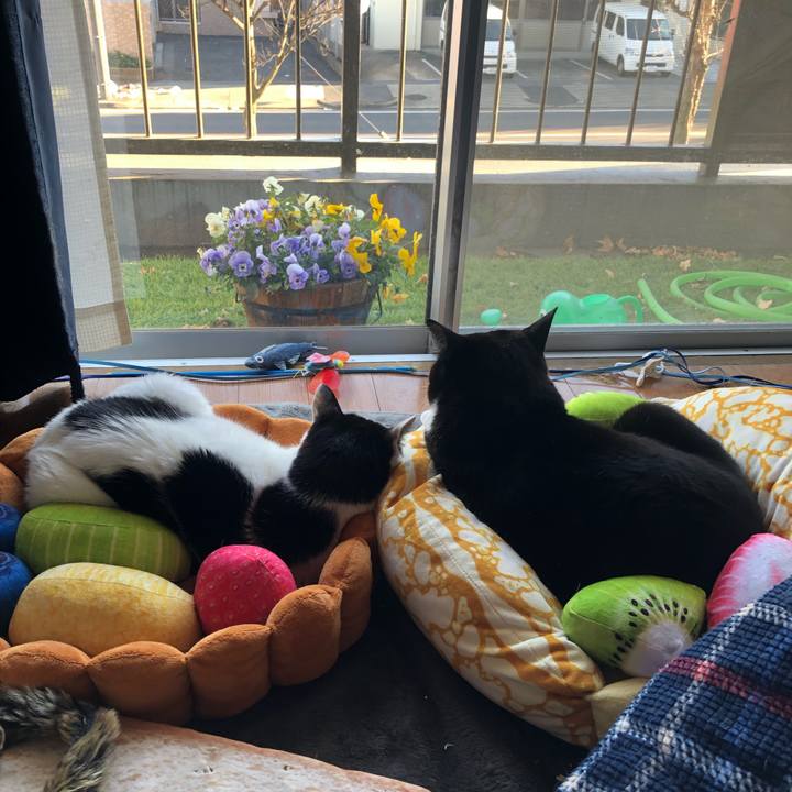 Ef26f243 1179 4351 93d3 ba7d5eeedad5 1641715046541