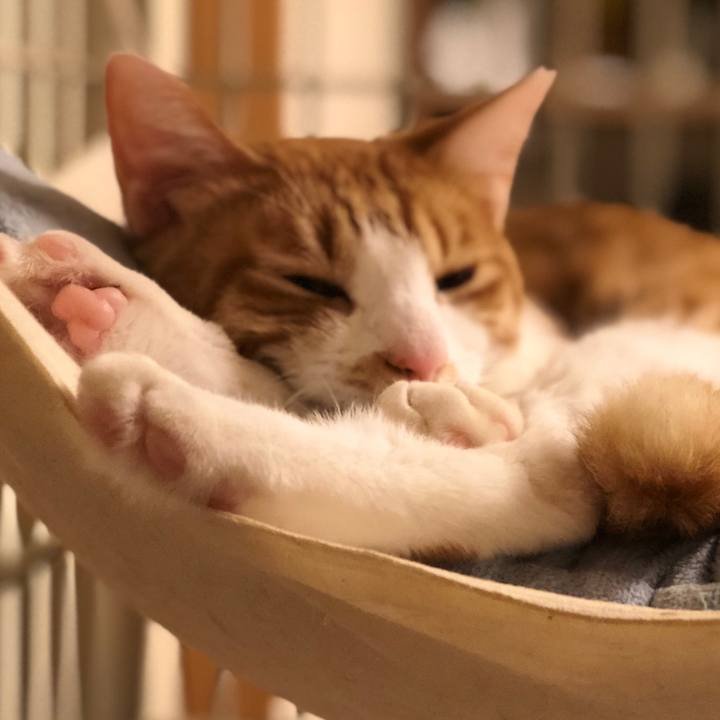 Ef2716d5 e0a4 4983 8934 1a8d79170c98 1512549449105