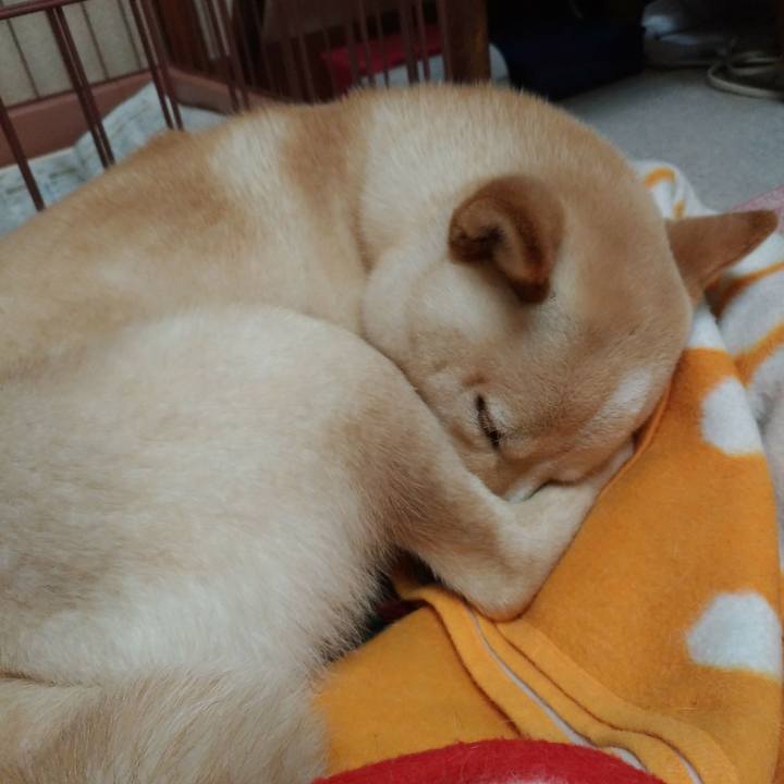 Ef27875b a758 4586 8c81 f53dc1f10f5b 1518008927865